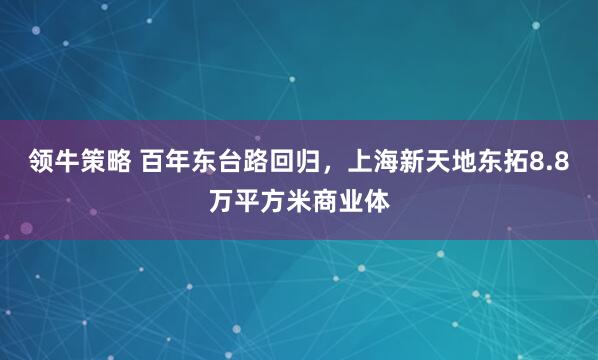 领牛策略 百年东台路回归，上海新天地东拓8.8万平方米商业体