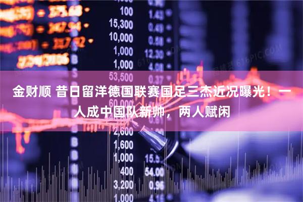 金财顺 昔日留洋德国联赛国足三杰近况曝光！一人成中国队新帅，两人赋闲