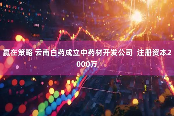 赢在策略 云南白药成立中药材开发公司  注册资本2000万