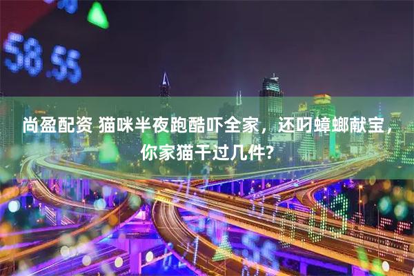 尚盈配资 猫咪半夜跑酷吓全家，还叼蟑螂献宝，你家猫干过几件?