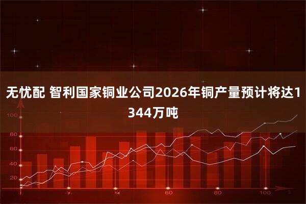 无忧配 智利国家铜业公司2026年铜产量预计将达1344万吨